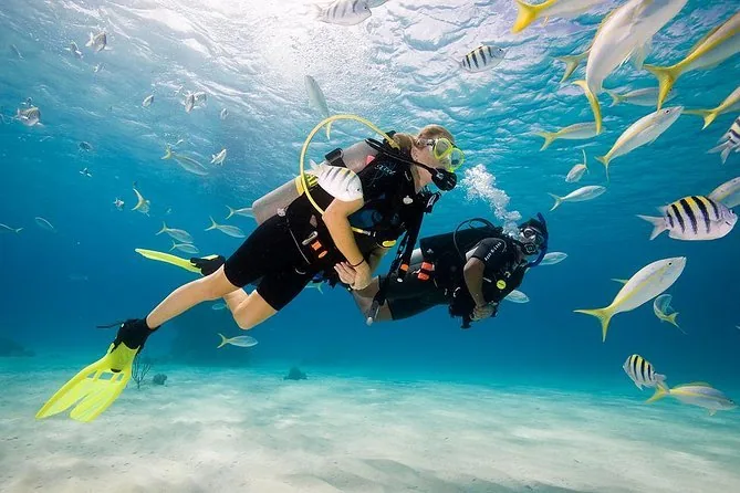 Scuba Diving Experience for 45 Minutes