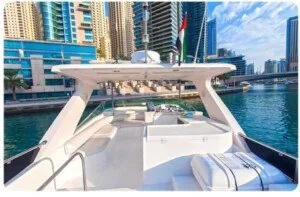 55Ft Majesty — view 3